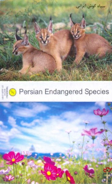 Persian Endangered Species
