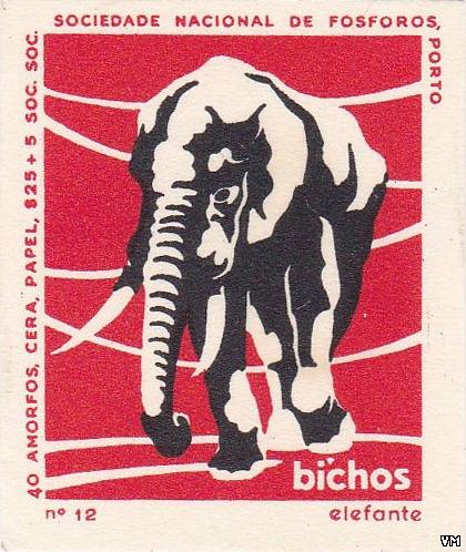 Elefante Bichos 40 amorfos cera papel 325 + 5 soc soc sociedade nacion