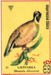 Ljestarka (Bonasia silvestris)