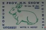 Witte V. Hotot Uitgeest Konijnen Pluimvee Prov. N.H. Show 13 t.m. 15 d