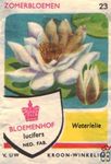 Waterlelie Zomerbloemen Bloemenhof lucifers van Uw kroon-winkelier Ned