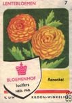 Ranonkel Lentebloemen Bloemenhof lucifers van Uw kroon-winkelier Ned.