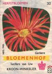 Gerbera Zomerbloemen Bloemenhof lucifers van Uw kroon-winkelier Ned. f
