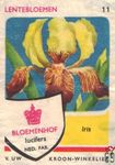 Iris Lentebloemen Bloemenhof lucifers van Uw kroon-winkelier Ned. fab.