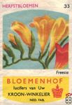 Freesia Zomerbloemen Bloemenhof lucifers van Uw kroon-winkelier Ned. f