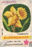 Lentebloemen Trompetnarcis Bloemenhof lucifers van Uw kroon-winkelier