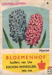 Hyocint Lentebloemen Bloemenhof lucifers van Uw kroon-winkelier Ned. f