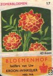 Afrikoon Zomerbloemen Bloemenhof lucifers van Uw kroon-winkelier Ned.