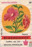 Petunia Herfstbloemen Bloemenhof lucifers van Uw kroon-winkelier Ned.