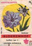 Scabiosa Herfstbloemen Bloemenhof lucifers van Uw kroon-winkelier Ned.