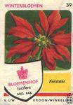 Kerstster Winterbloemen Bloemenhof lucifers van Uw kroon-winkelier Ned