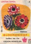 Anemoon Lentebloemen Bloemenhof lucifers van Uw kroon-winkelier Ned. f