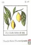 Der Liebe gohn ift fub Neuefte tleine Blumentpradje s. 1/9